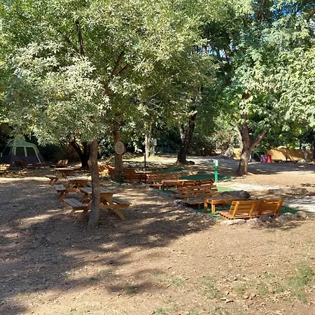Camping Dafna - By Travel Hotel Chain Zimmer foto