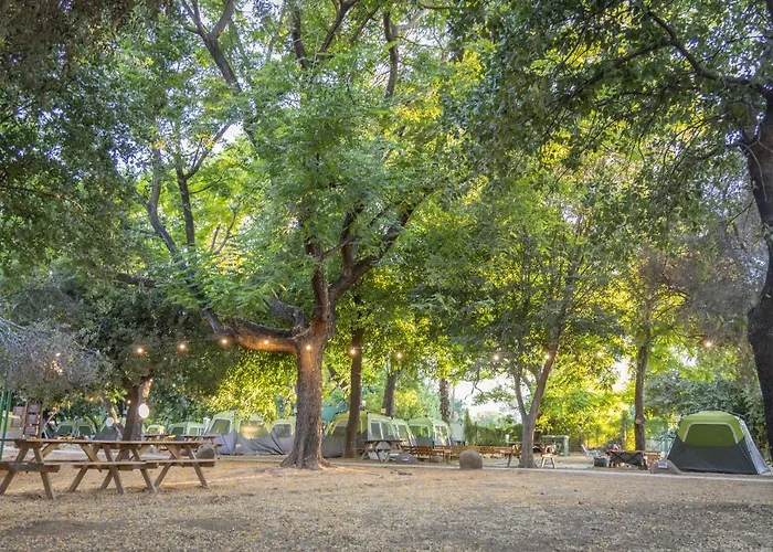 Camping Dafna - By Travel Hotel Chain
