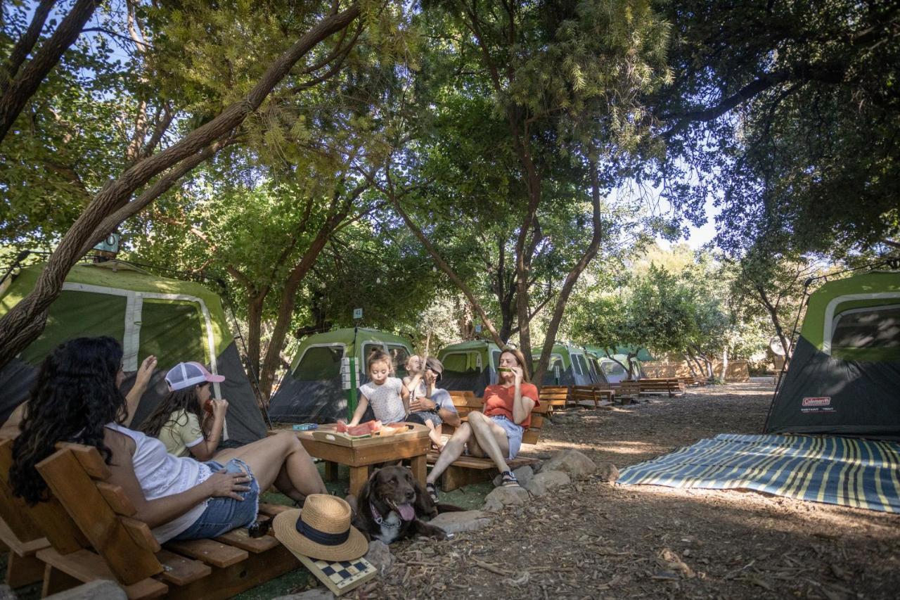 Campsite - By Travel Chain *